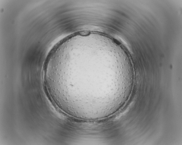 X0000089341125200706150814