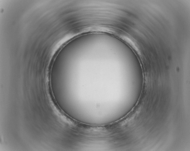 X0000089341133200706150814