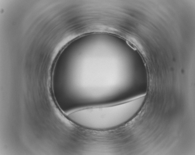 X0000089341136200706150814