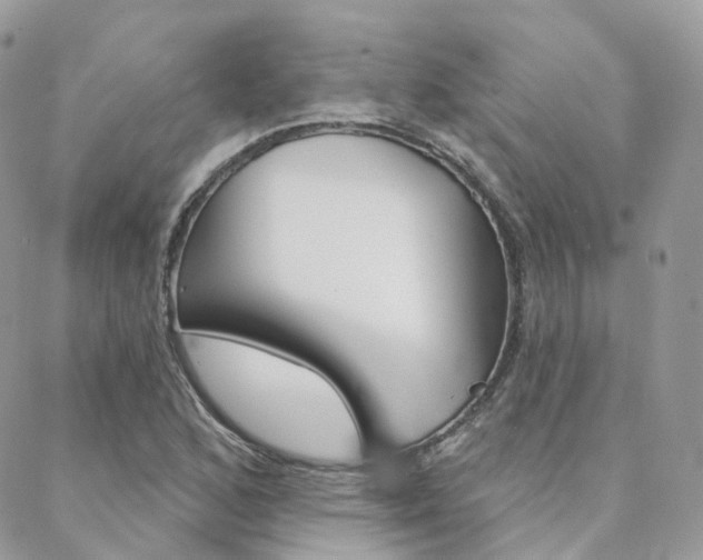 X0000089341168200706150813
