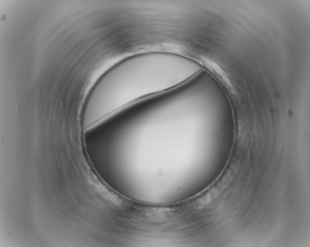 X0000089341184200706150813