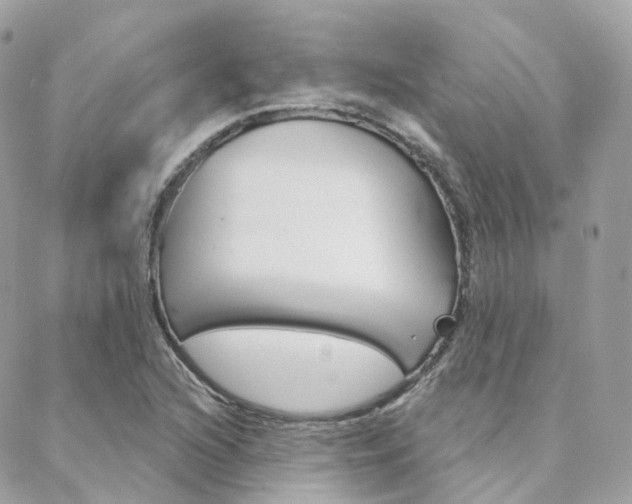 X0000089341216200706150812