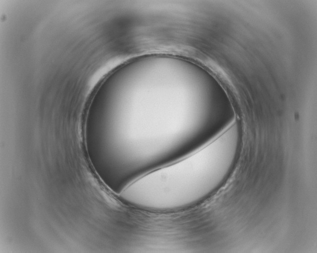 X0000089341230200706150812
