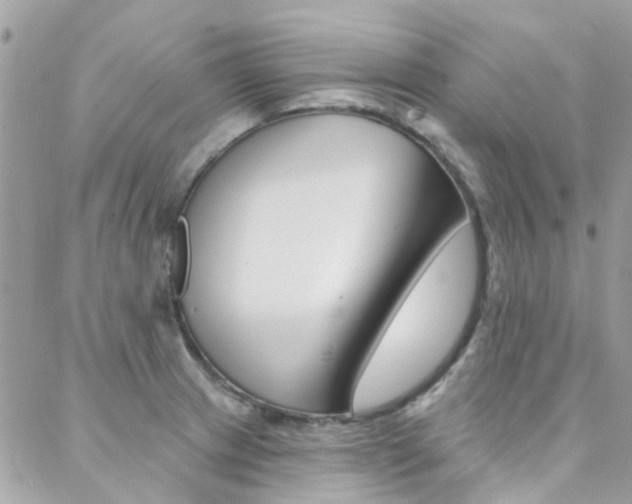X0000089341233200706150812