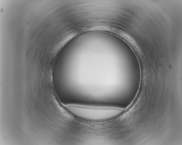 X0000089341241200706150812