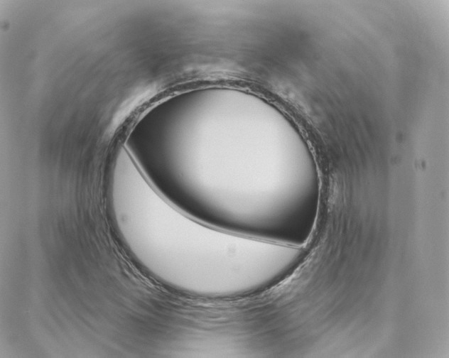 X0000089341261200706150811