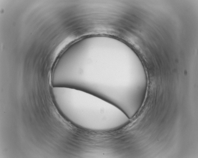 X0000089341275200706150811