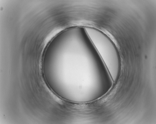 X0000089341285200706150811