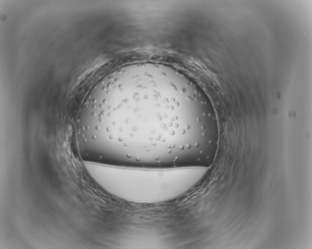 X0000089341302200706150810