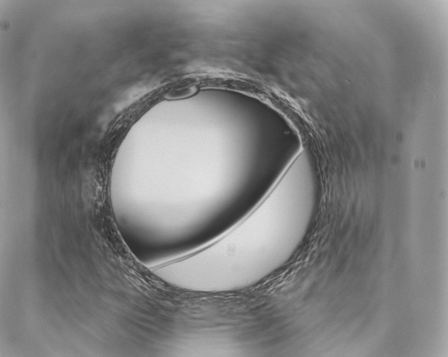 X0000089341303200706150810