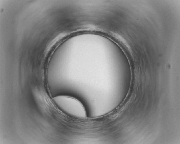X0000089341318200706150810