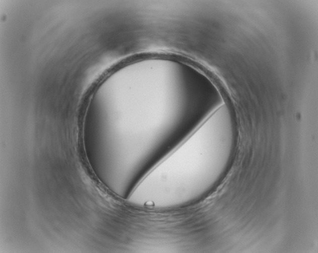 X0000089341319200706150810