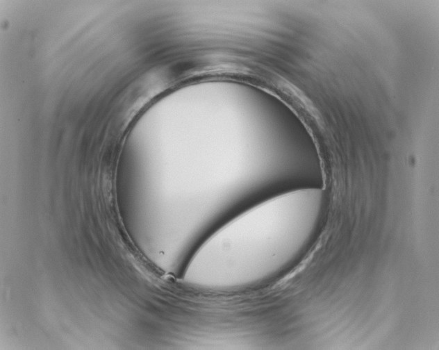 X0000089341321200706150810