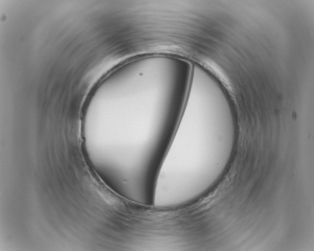 X0000089341324200706150811