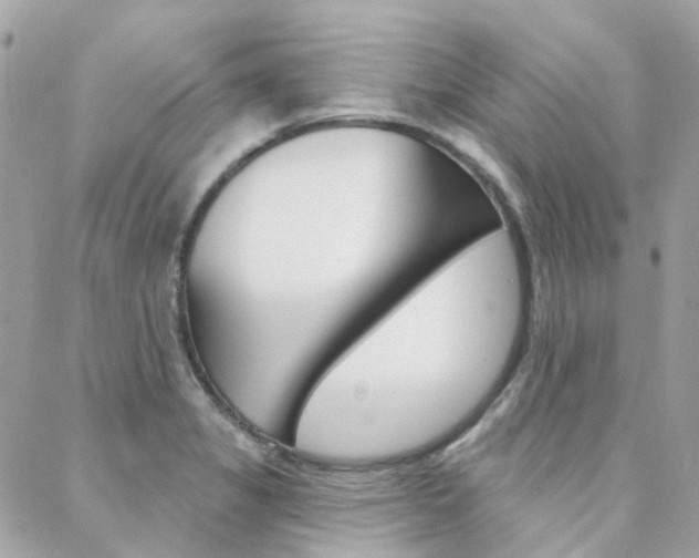 X0000089341325200706150811