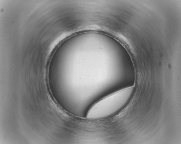 X0000089341326200706150811