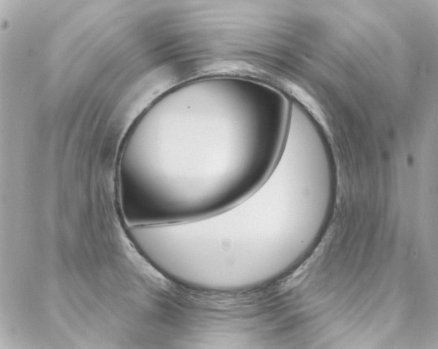 X0000089341330200706150811