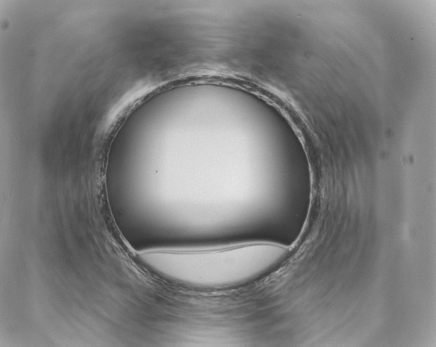 X0000089341359200706150810