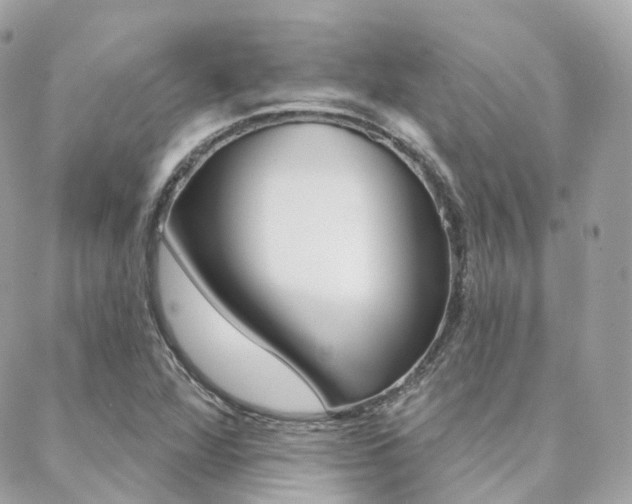 X0000089341360200706150810