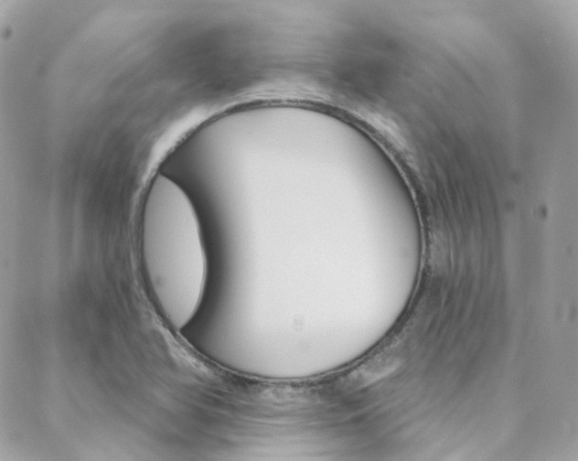 X0000089341366200706150810