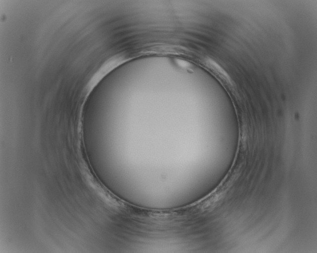 X0000089341378200706150810