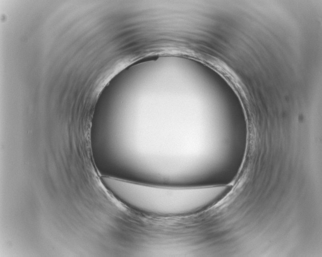 X0000089341385200706150809