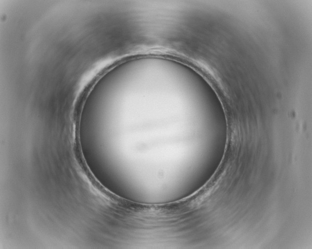 X0000089341414200706150809