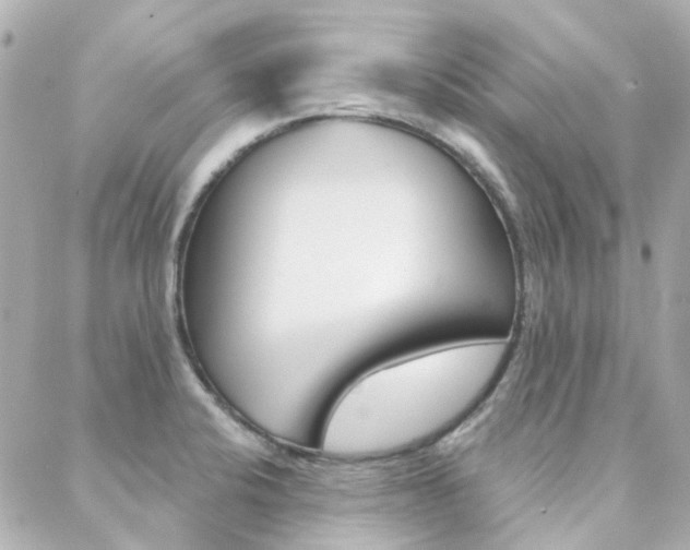 X0000089341424200706150809