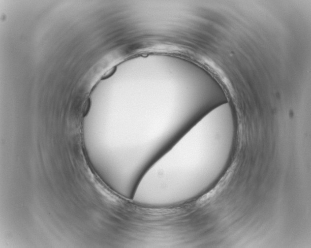 X0000089341425200706150809