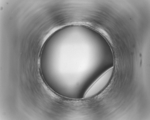 X0000089341428200706150809