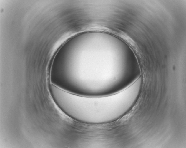 X0000089341430200706150809