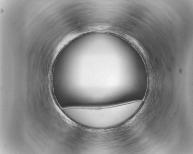 X0000089341432200706150809