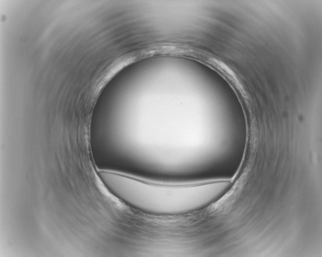 X0000089341433200706150809