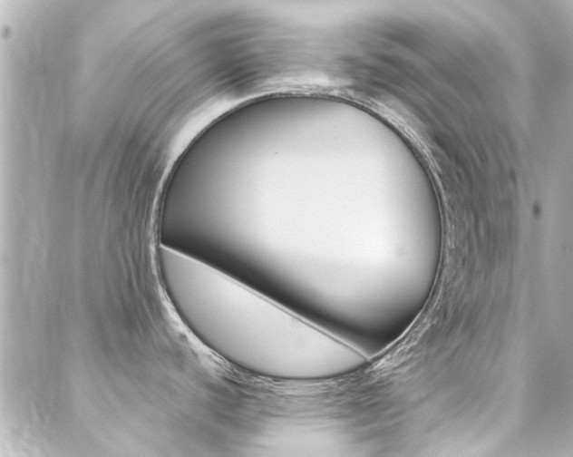 X0000089341440200706150809