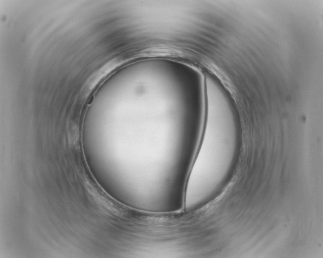 X0000089341465200706150808
