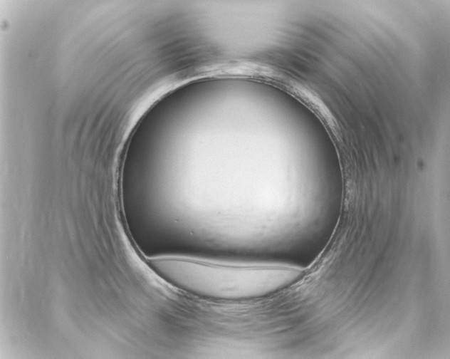 X0000089341483200706150808