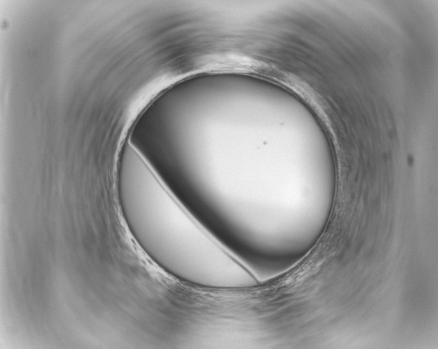 X0000089341488200706150808