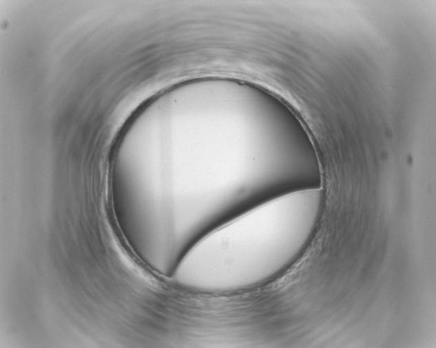 X0000089341515200706150807