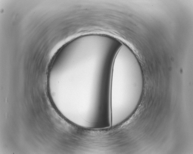 X0000089341518200706150807