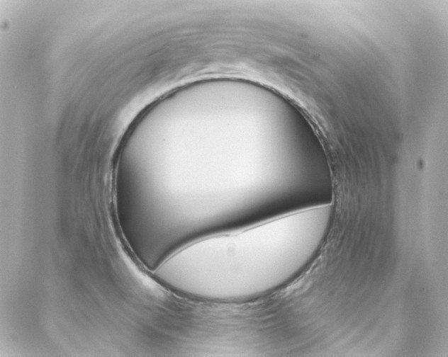 X0000089341519200706150807