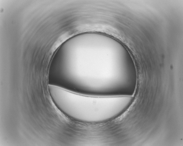 X0000089341521200706150808