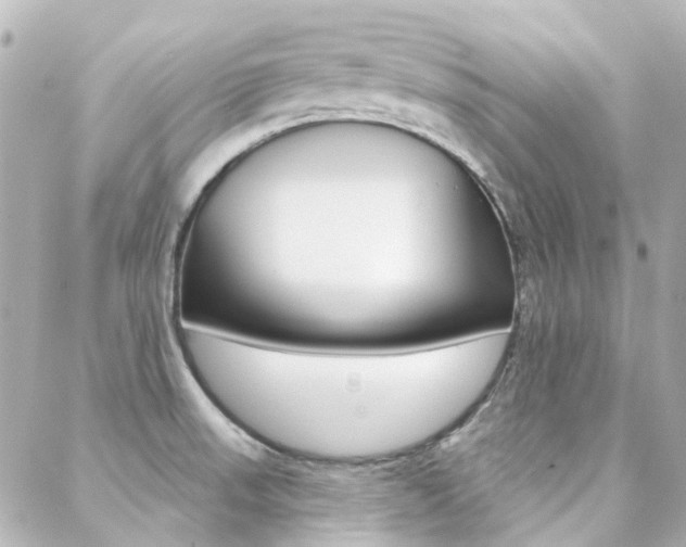 X0000089341523200706150808