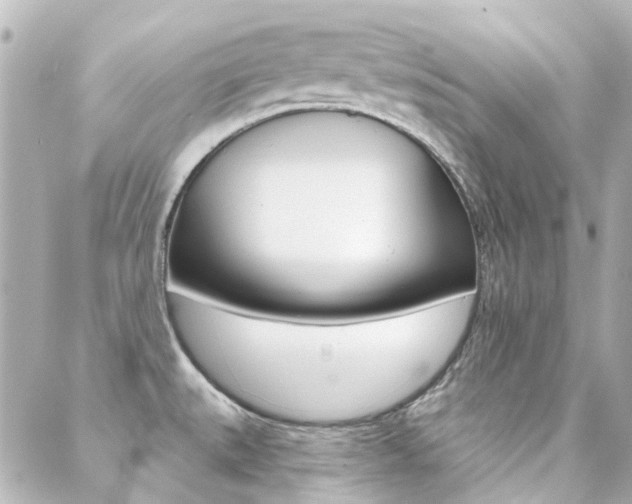 X0000089341527200706150808