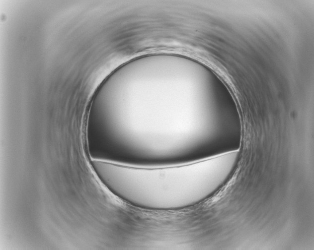 X0000089341533200706150808
