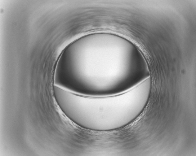 X0000089341534200706150808
