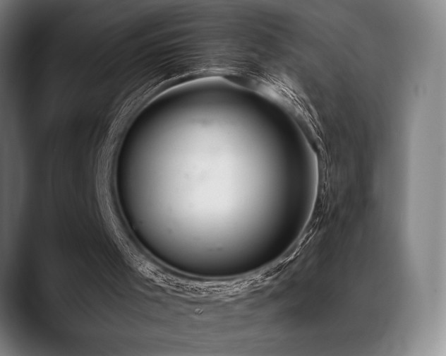X0000089340001200706151052