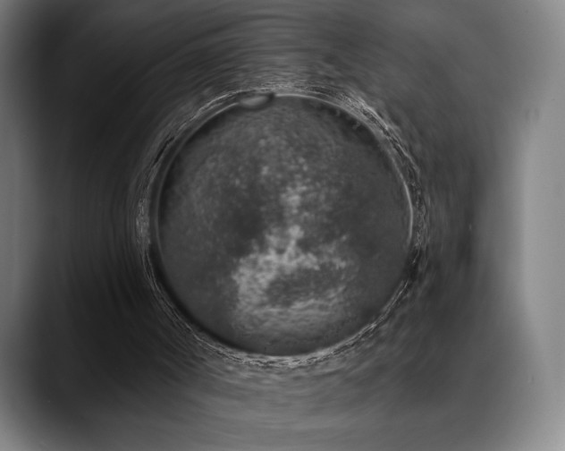 X0000089340002200706151052