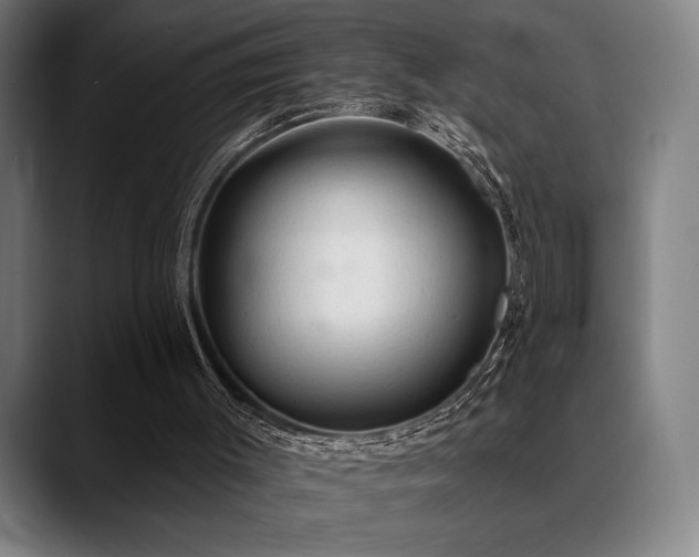X0000089340003200706151052