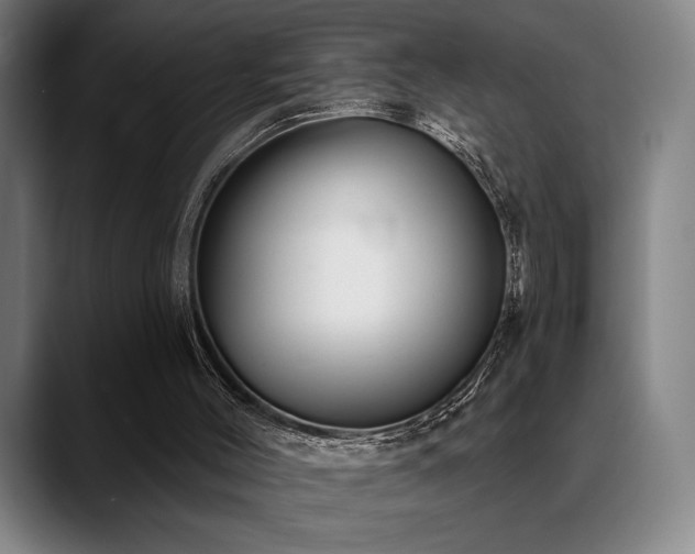 X0000089340004200706151052