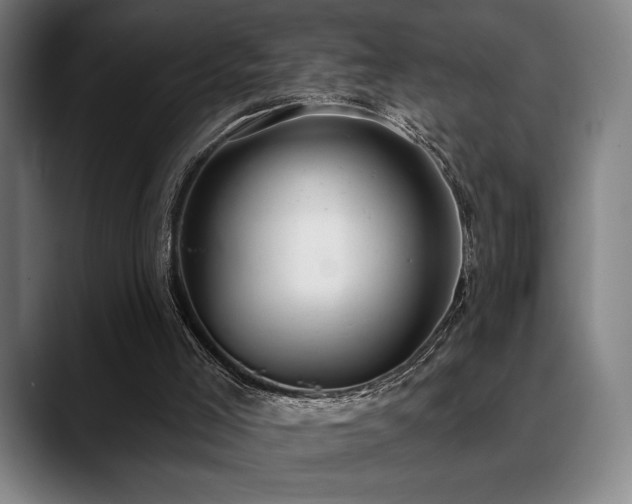 X0000089340005200706151052
